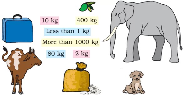 Who-is-Heavier-Class-3rd-Math-Solutions-Part-2-img-2