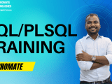 Master Plsql Training With Our No 1 Expert Learnomate Technologies