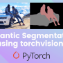 Torchvision Semantic Segmentation - Pytorch For Beginners