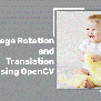 Image Translation And Rotation Using OpenCV