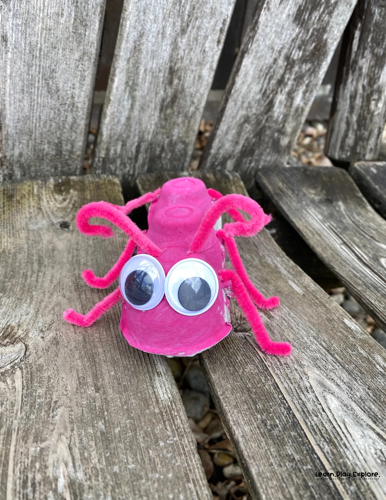 adorable pink ant craft with giant google eyes