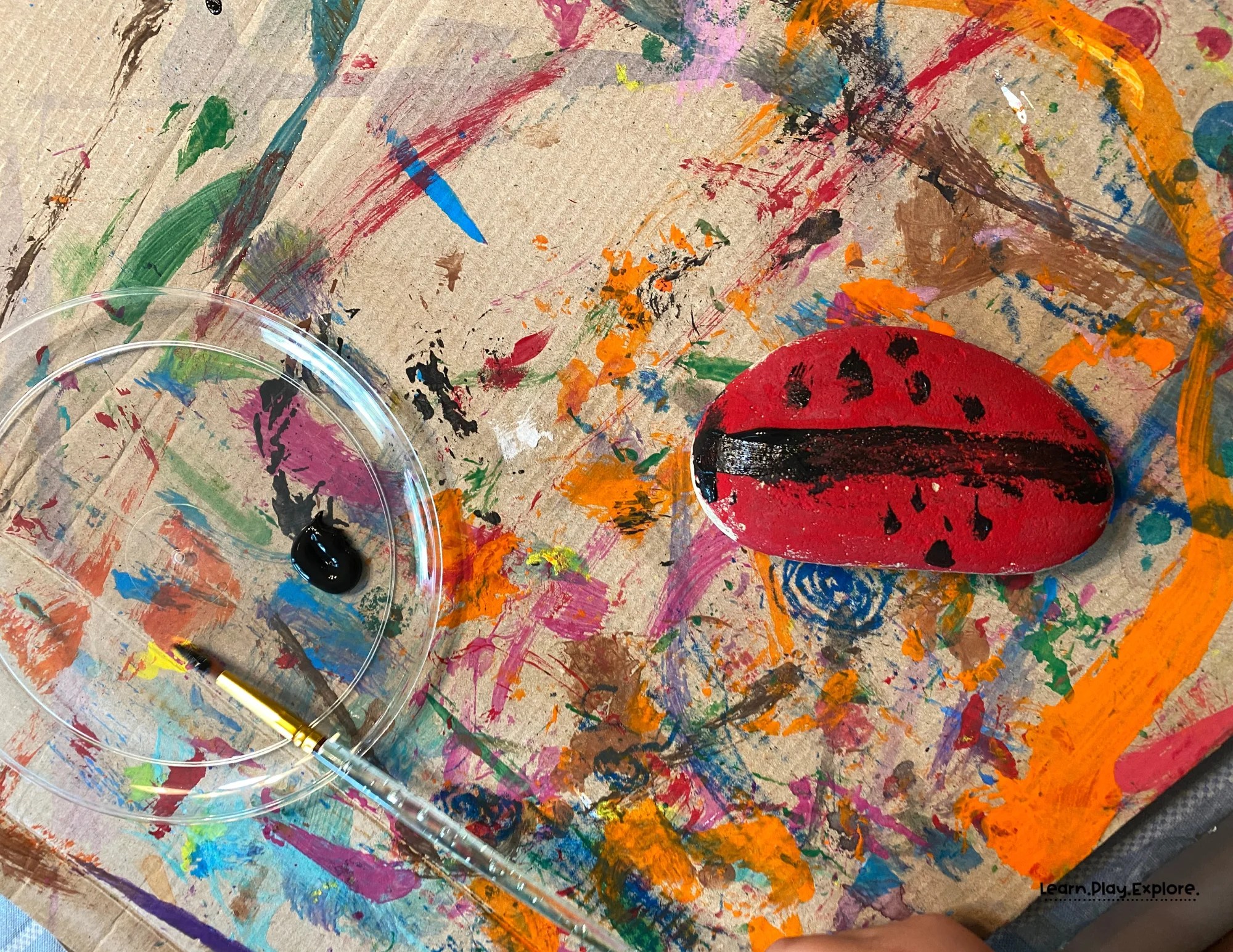 rock painted like a ladybug by a 5 year old