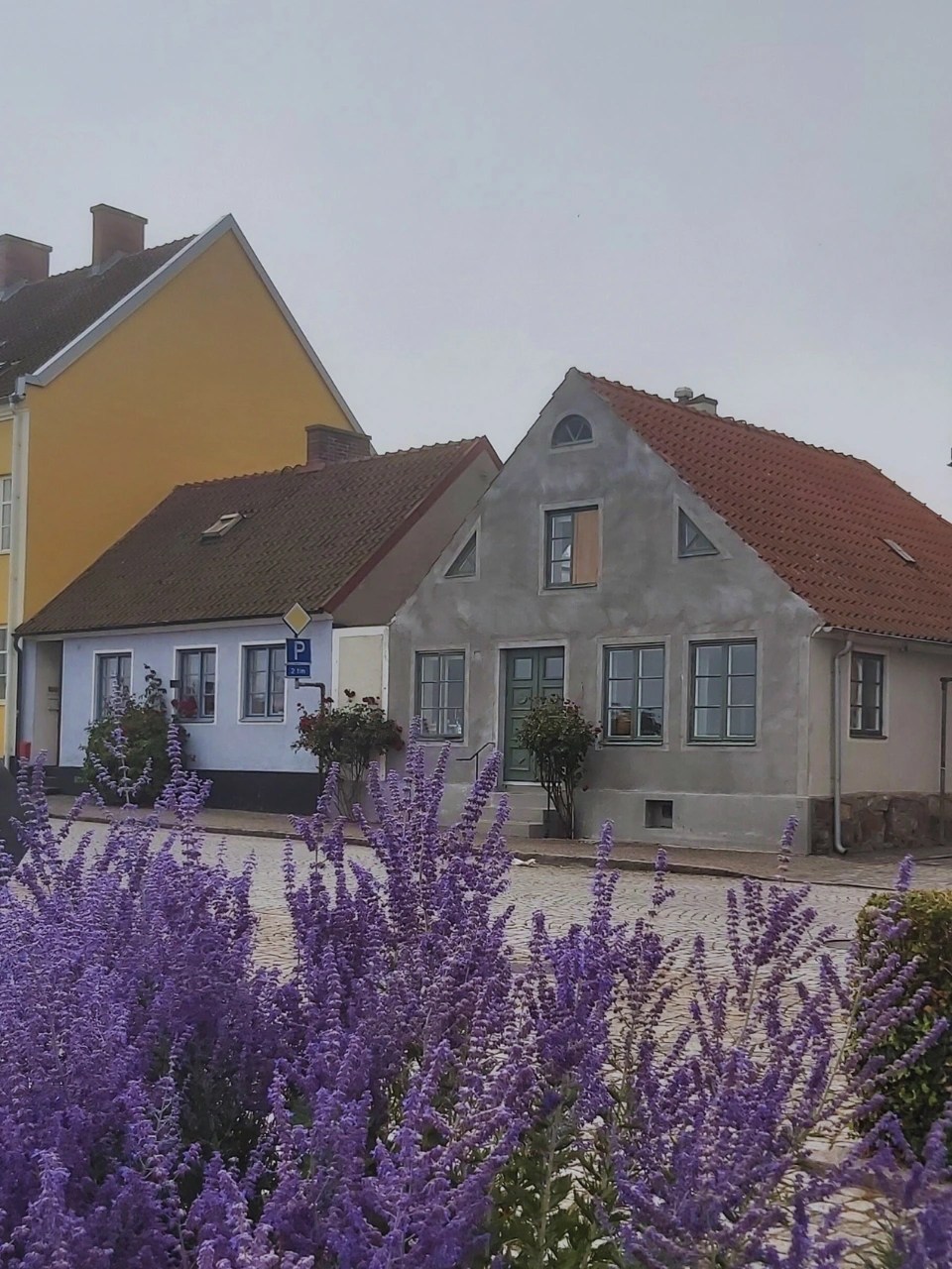 A group of small houses in soft tones with blooming purple flowers in the foreground, adding color to a quiet street in Simrishamn.