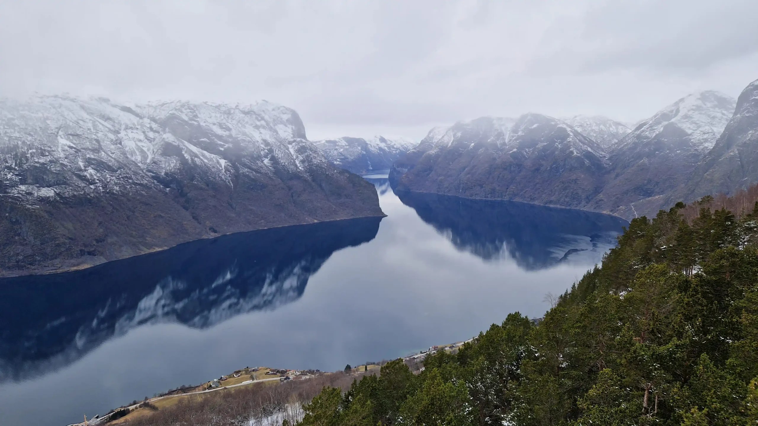 View from Stegastein Viewpoint overlooking Aurlandsfjord, with snow-dusted mountains reflected in the calm water, a cloudy winter sky above, and green pine trees in the foreground.