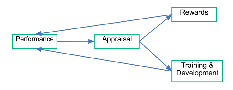 Appraisal process in a diagram