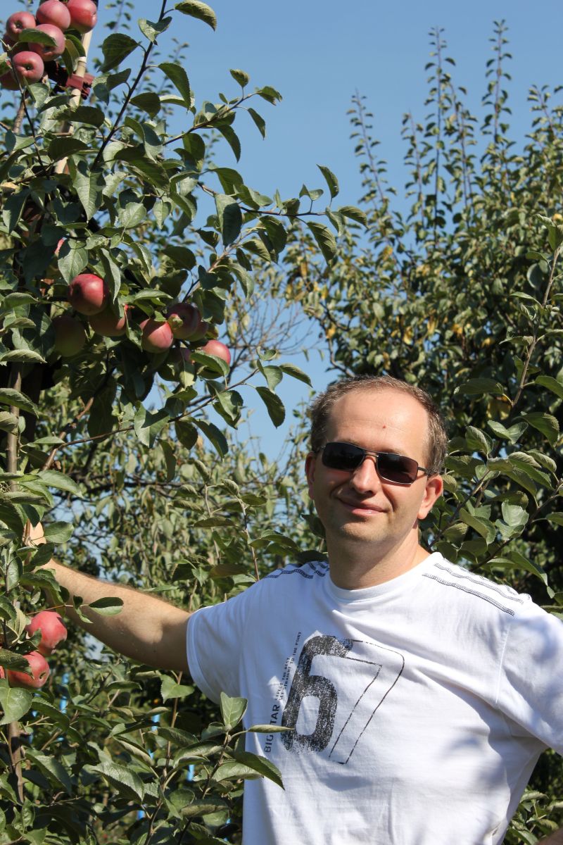 The Man Behind Learnsql Com Learnsql Com - Premium Ocean Art Gallery - Desktop