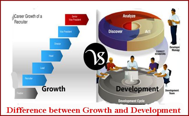 Growth vs Development