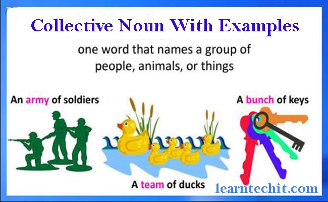 Collective Noun