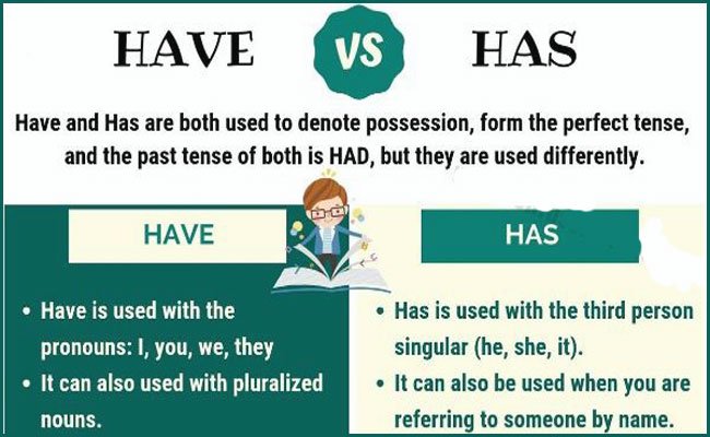 Difference between has and have
