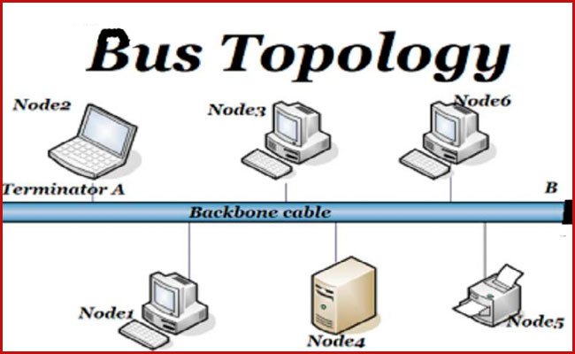 bus topology