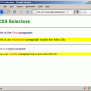 CSS Lesson 3: Basic CSS Selectors | LearnWebCode