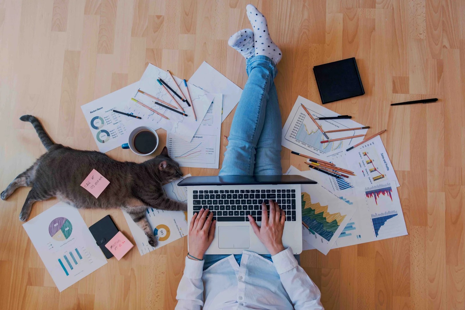 Hocus Focus Blog