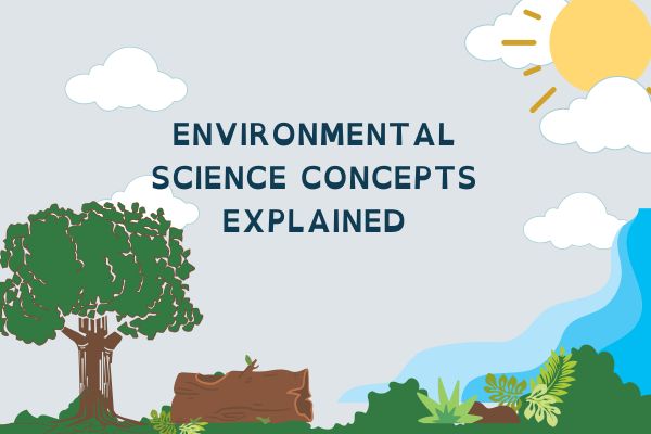environmental science examples
