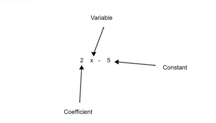 Coefficient vs Constant: What’s the Difference?