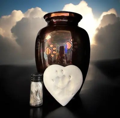 Upgraded Pet Cremation Paw Print Vase Urn, Fur Clipping, and Clay Paw Print Impression