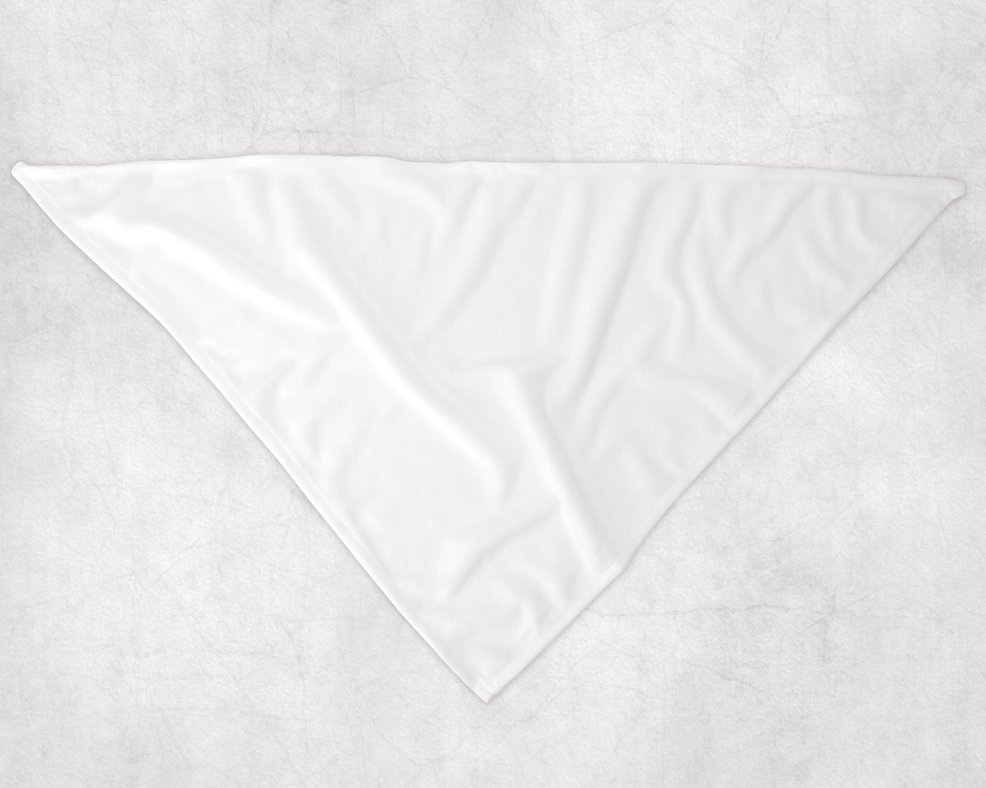 Custom Printed Polyester Bandana
