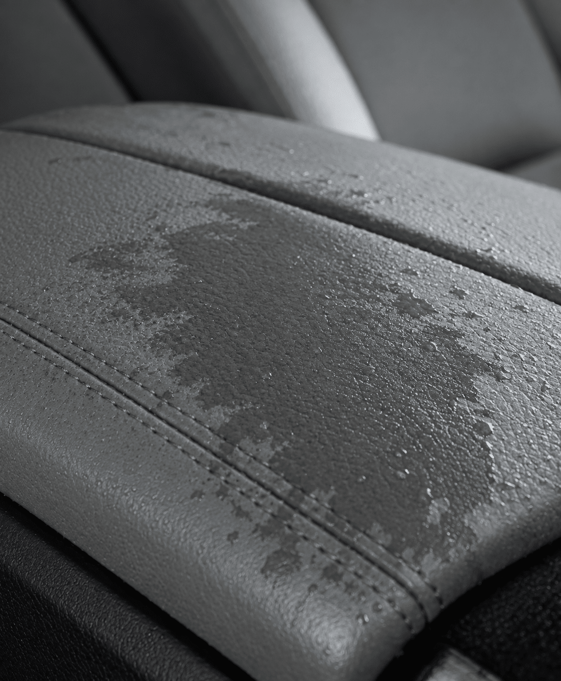 Without Leather Protection Cream