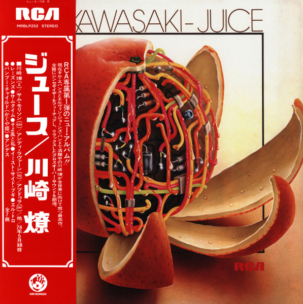 <b>RYO KAWASAKI</b> <br>Juice
