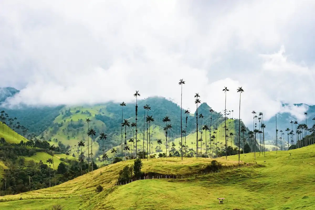 Les incontournables à voir en Colombie