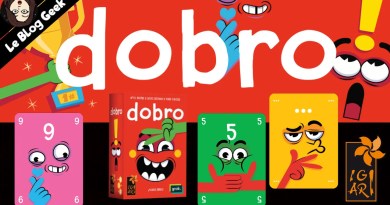 Test jeu de société Dobro - Le Blog Geek