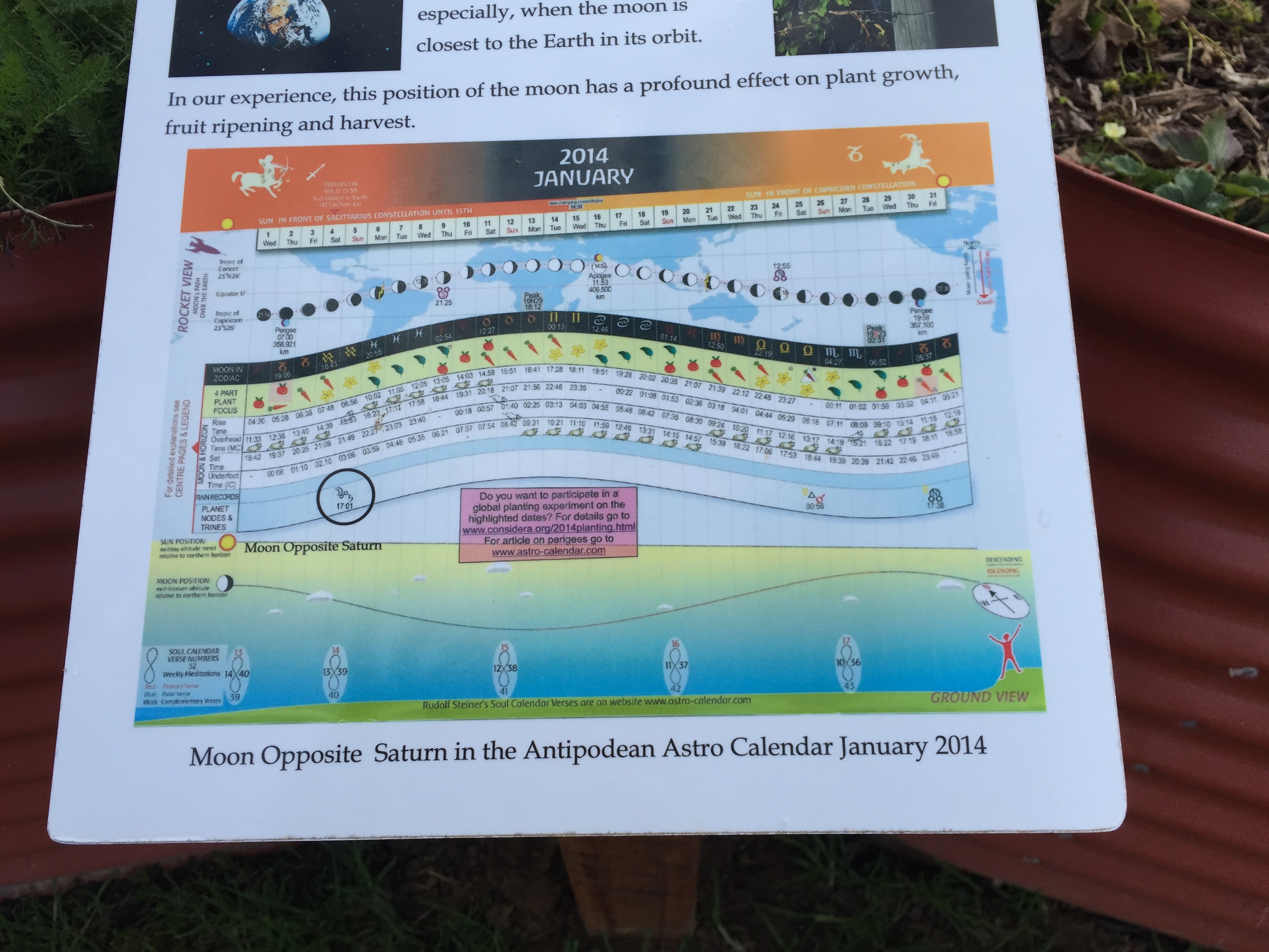 Lunar cycles are important in Cullen's farming practices