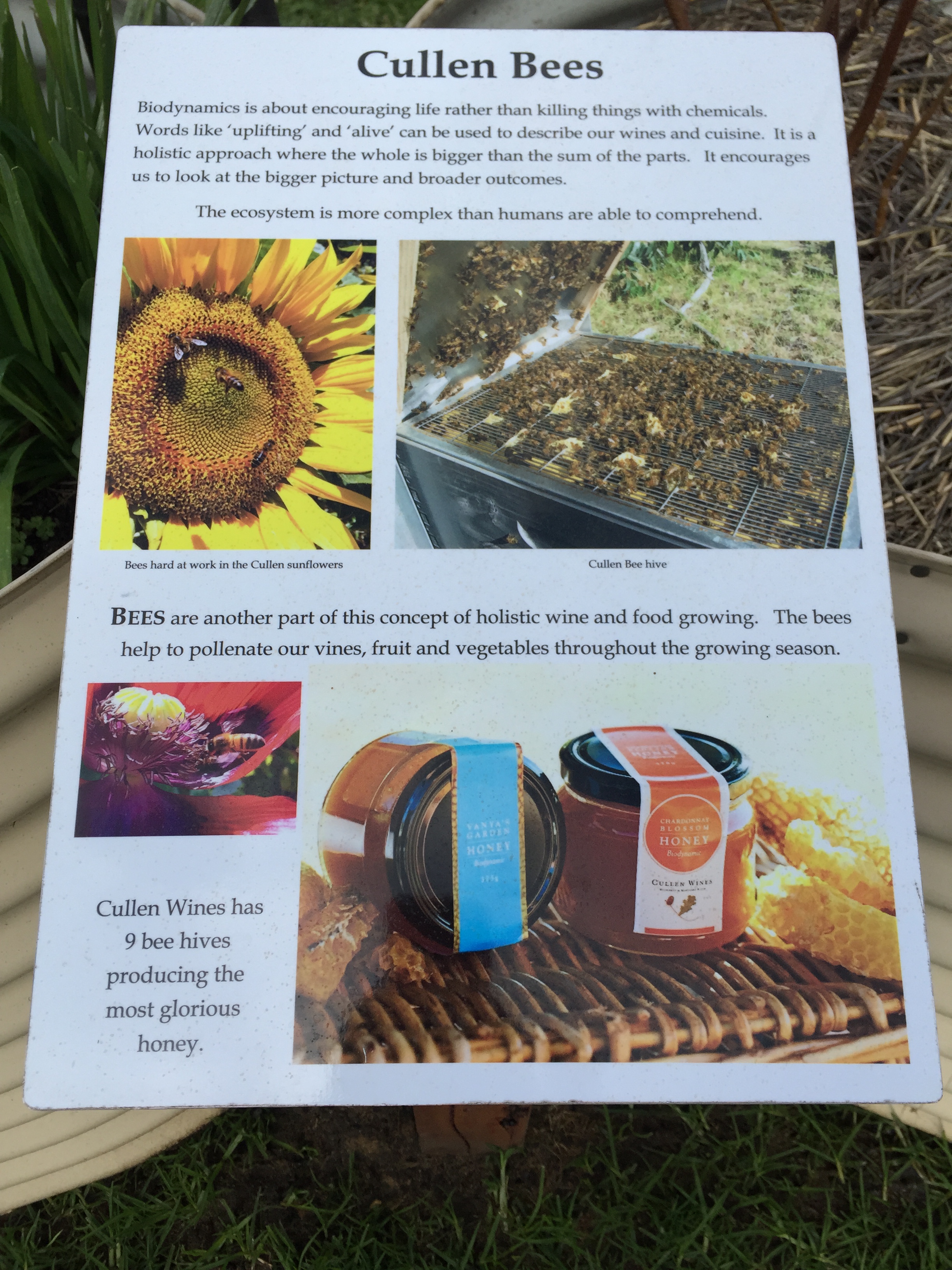 Details of bee keeping at Cullen