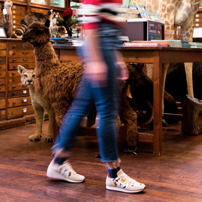 editovejadeyrolle3.001