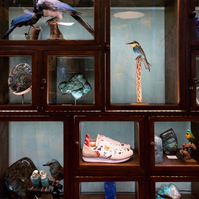 editovejadeyrolle3.004