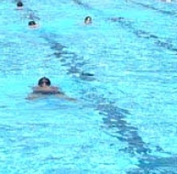 Le Guide Des 2 Piscines De Sochaux Nageurs Com