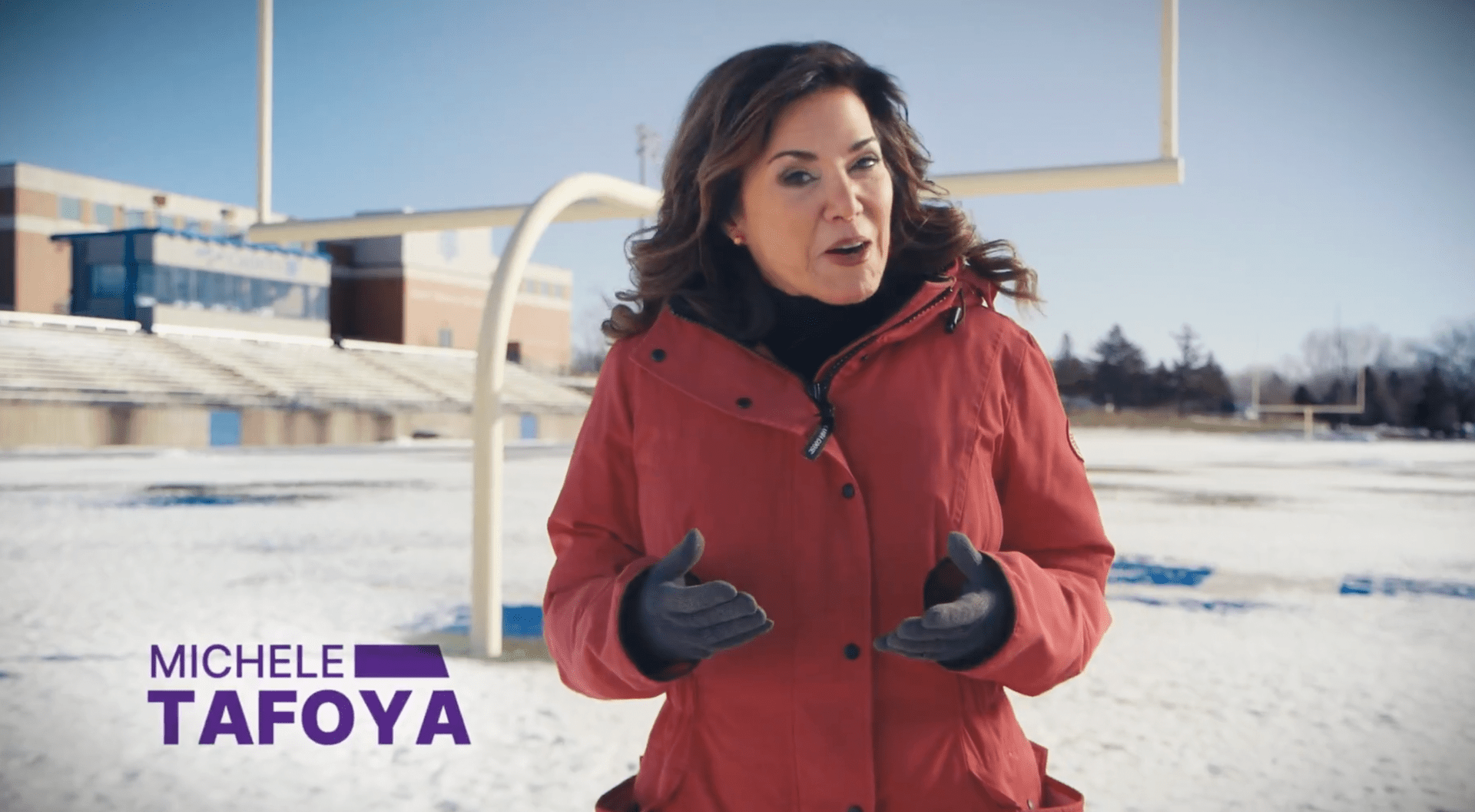 Michele Tafoya's Senate Bid: From NFL Sidelines to Political Grievances? (2026)