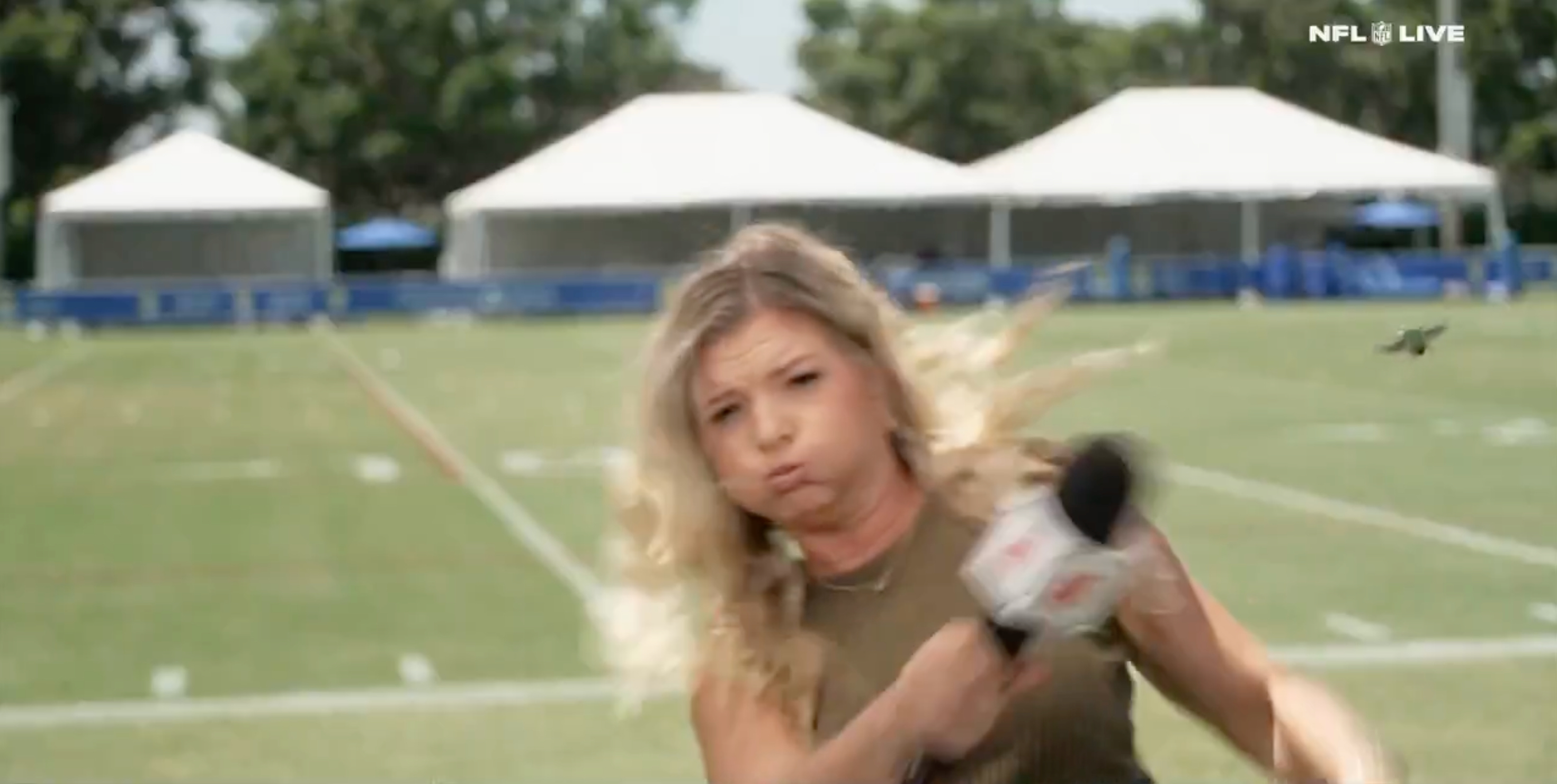 ESPN Reporter Ambushed by Giant Beetle at LA Rams Camp! (Shocking Moment) (2026)