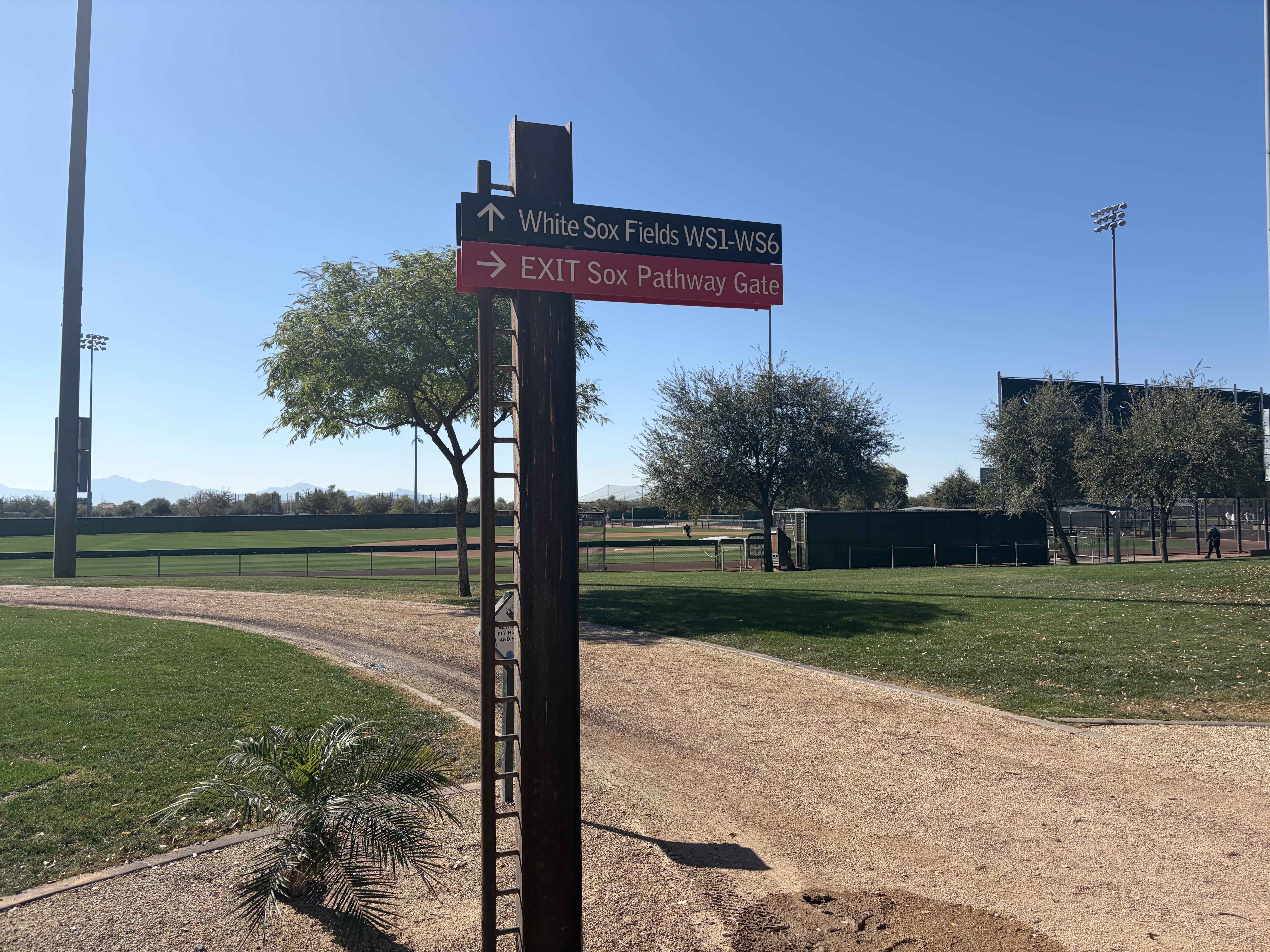 Battle for Camelback Ranch: Spring Training Highlights & Player Updates (2026)