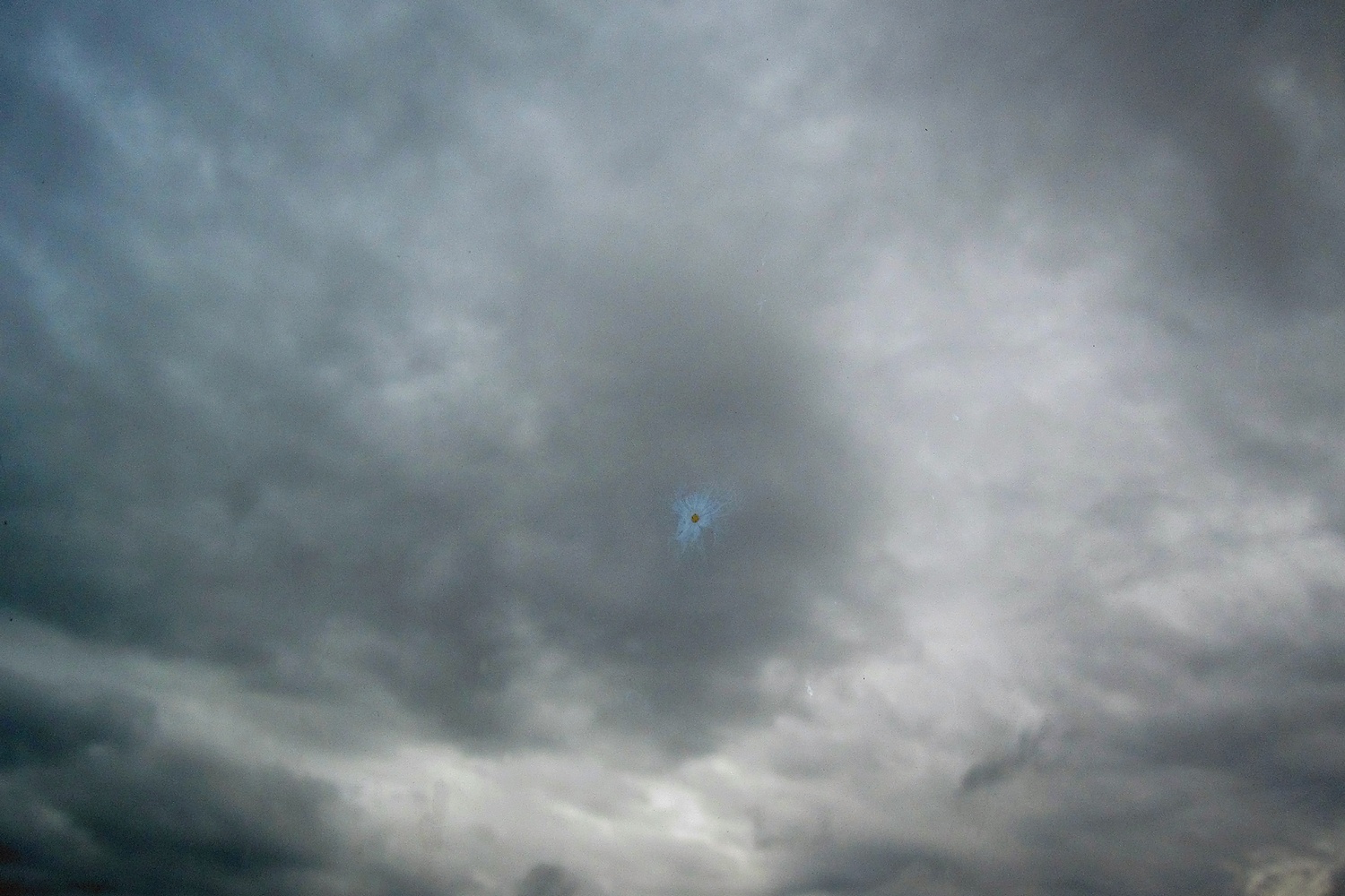 IMG_6340copy_s