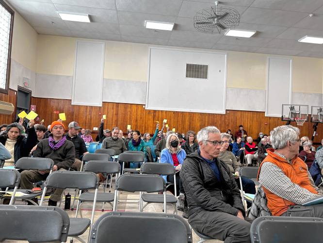 Residents held up yellow cards to vote against an article at Dublin’s Town Meeting.