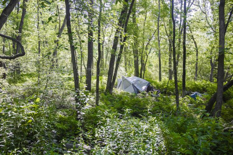 A homeless encampment in Healy Park hear exit 13 of I-93 near the Manchester Street Bridge in Concord, June 24, 2025.