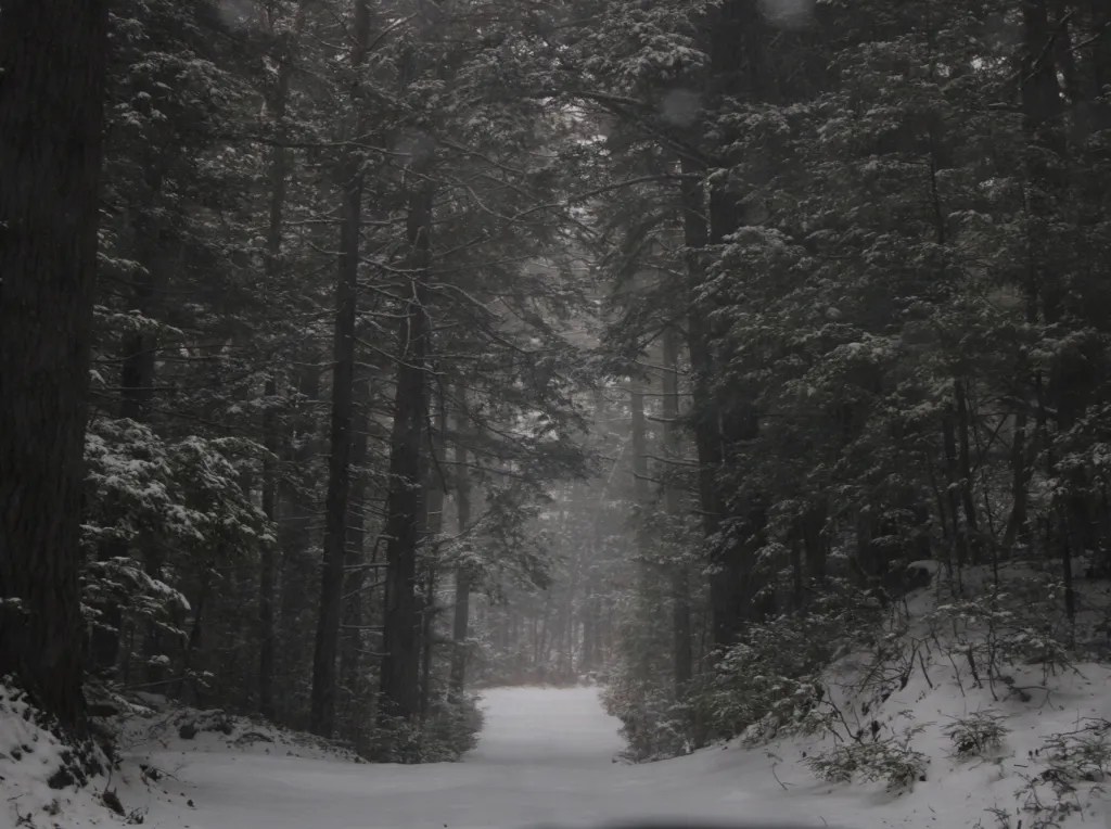 Raven Groblewski of Jaffrey photographs Tuesday's storm at Annette State Park in Rindge. RAVEN GROBLEWSKI / Courtesy