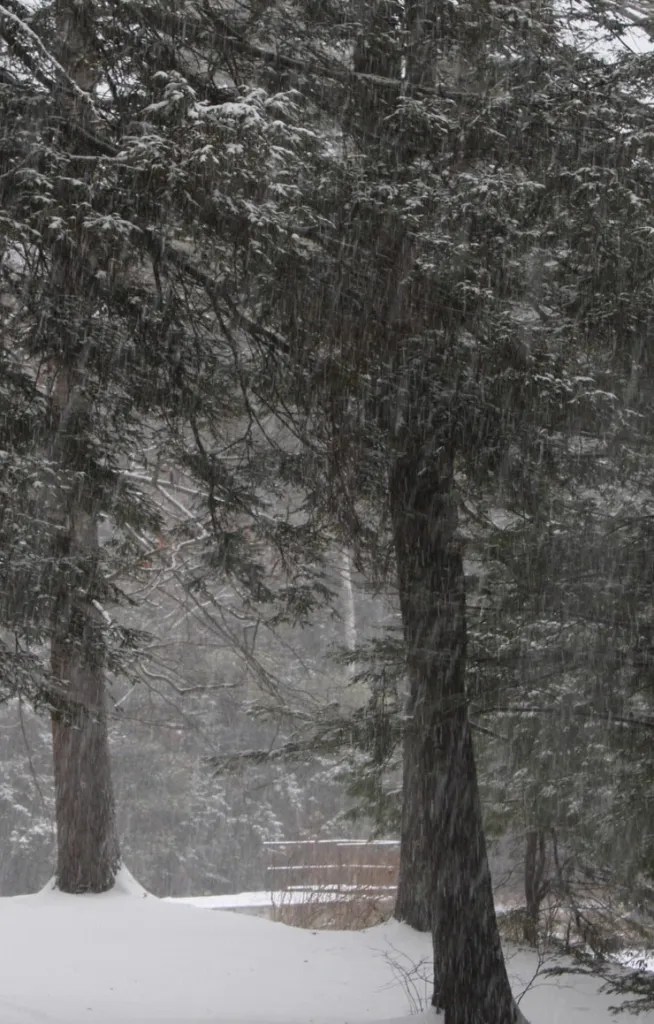 Raven Groblewski of Jaffrey photographs Tuesday's storm at Annette State Park in Rindge. RAVEN GROBLEWSKI / Courtesy