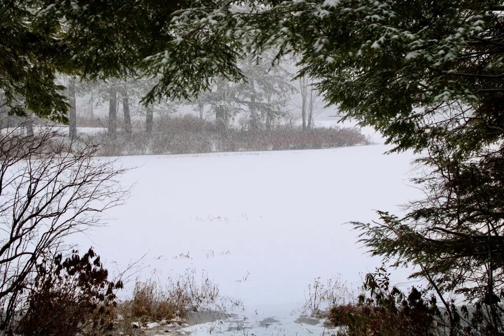 Raven Groblewski of Jaffrey photographs Tuesday's storm at Annette State Park in Rindge. RAVEN GROBLEWSKI / Courtesy