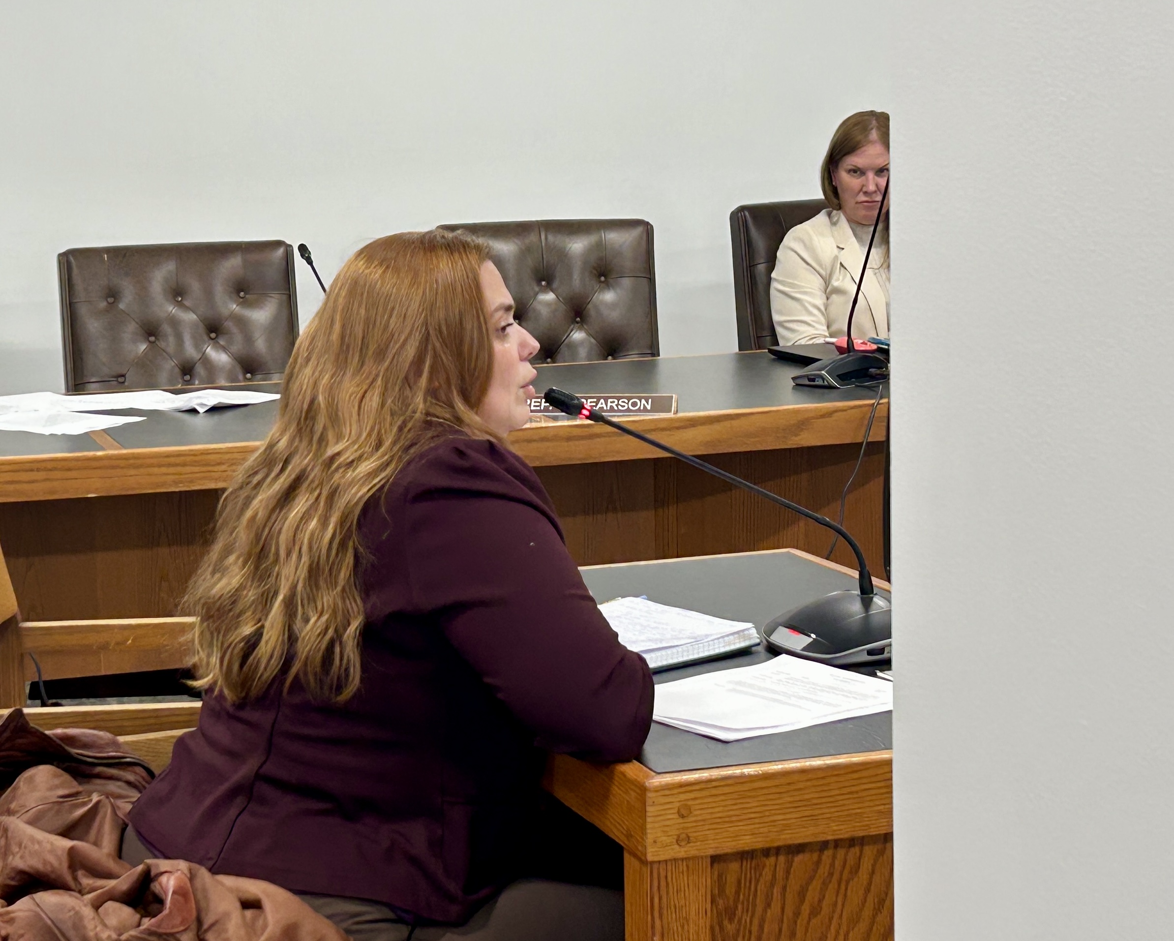 Rep. Ellen Read, a Democrat from Newmarket, said her perception of the NH Coalition Against Domestic and Sexual Violence changed after she noticed it did not support bills that she thought were no-brainers to protect survivors.
