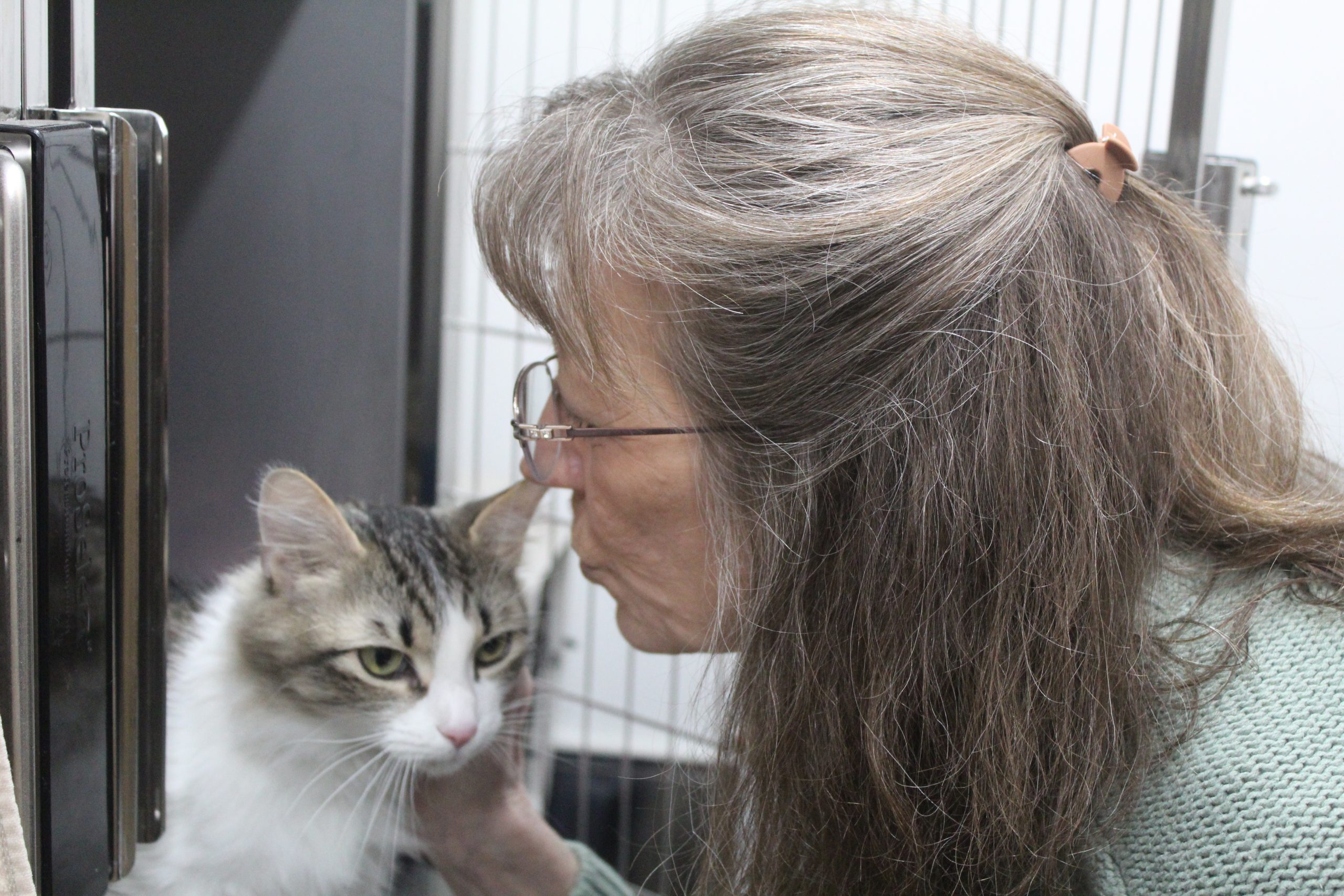 Mary Wright gives a kiss to one of the Kitty Rescue and Adoption cats prepared for adoption.