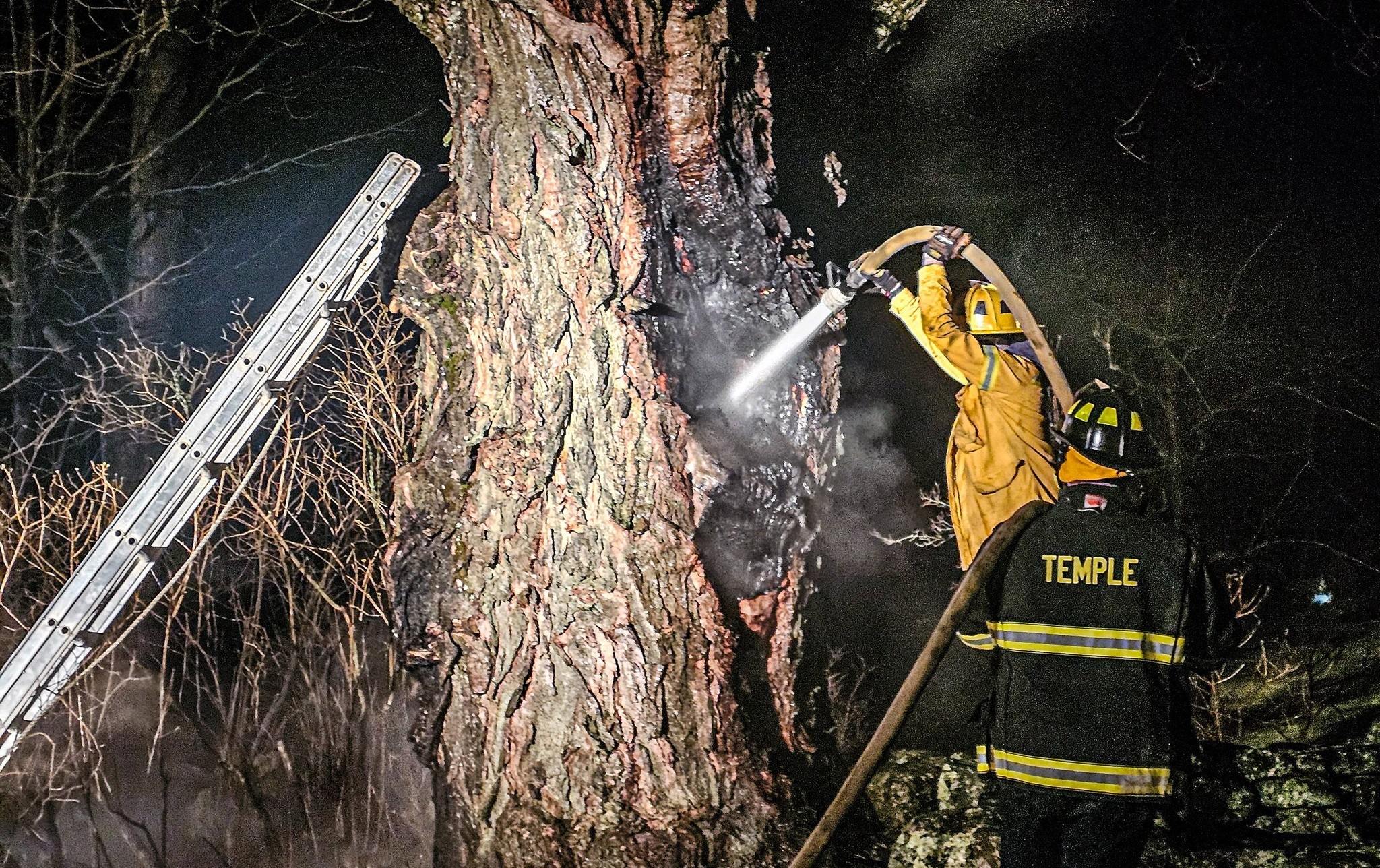 Temple volunteer firefighters douse a tree fire.