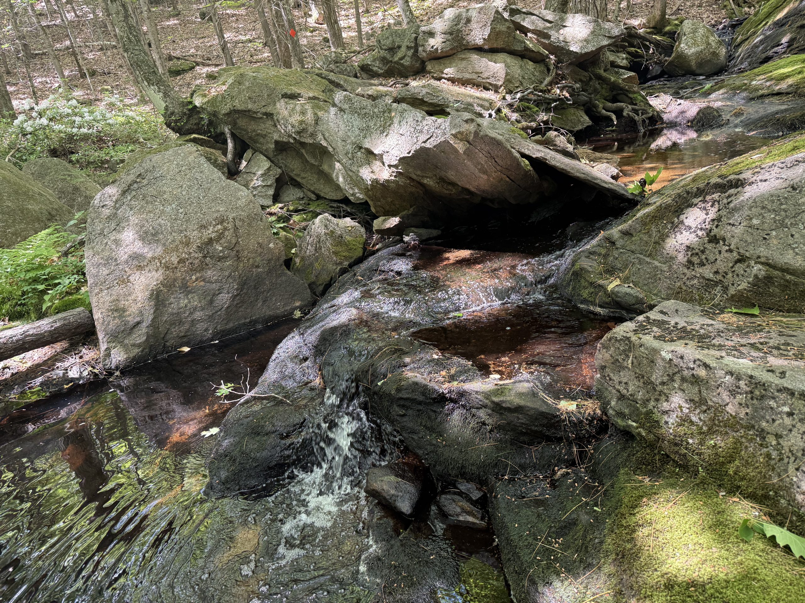 The Mason Brook runs over rock cascades.