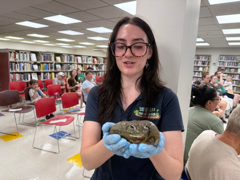 Lydia Wagner and Jellybelly the African bullfrog.