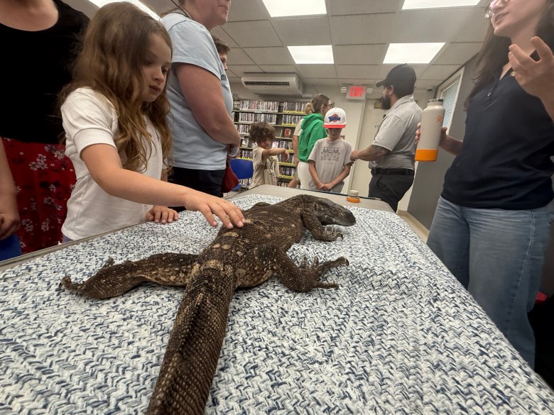 Cora Kazanovicz of Sharon gets to pet Zulu.