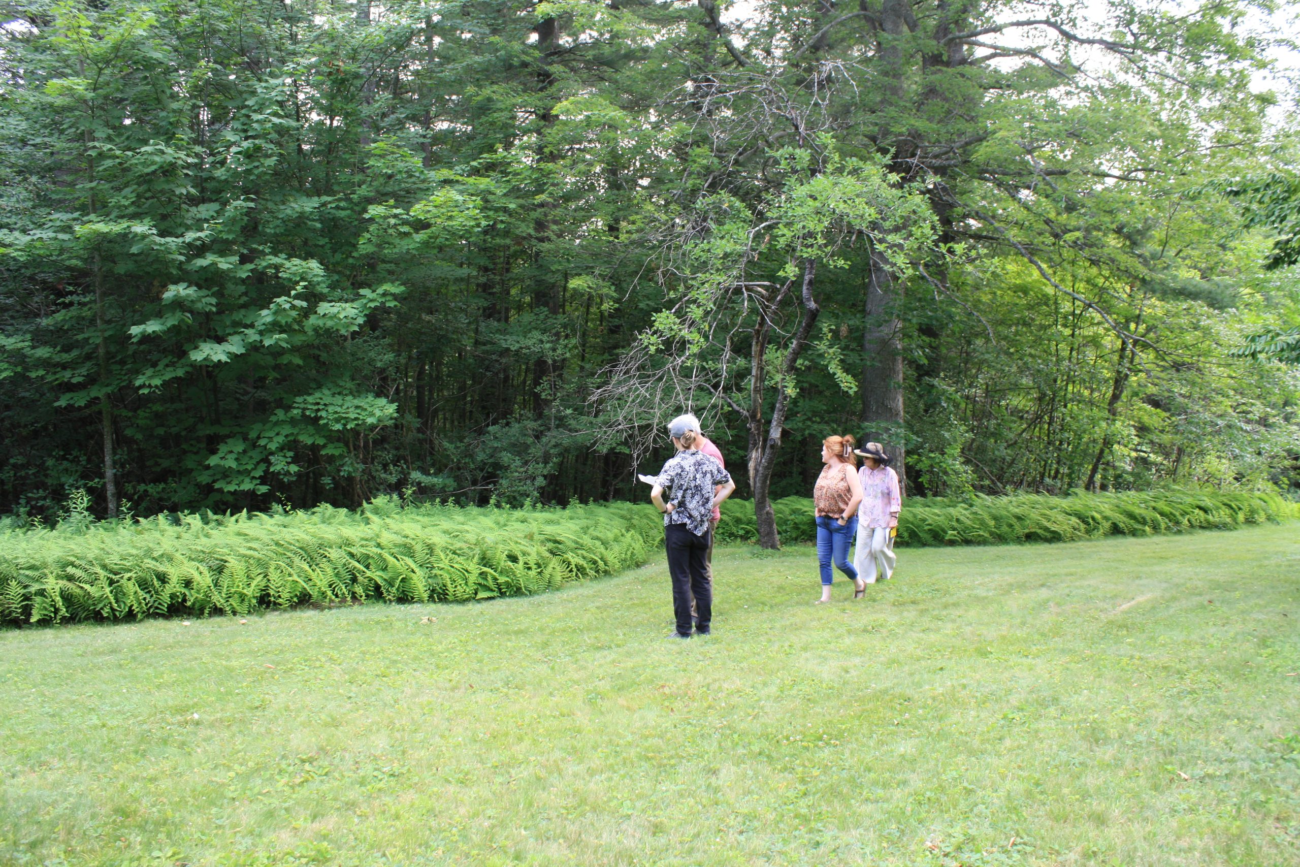 Old Harrisville Rd Site Visit
