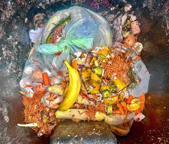 One of the compost bins in Bow filled with food scraps.