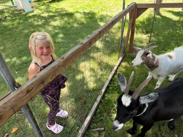Valley Salo of Rindge visits the goats at the petting zoo.