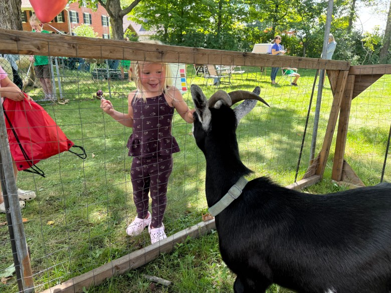Valley Salo of Rindge visits the goats at the petting zoo.