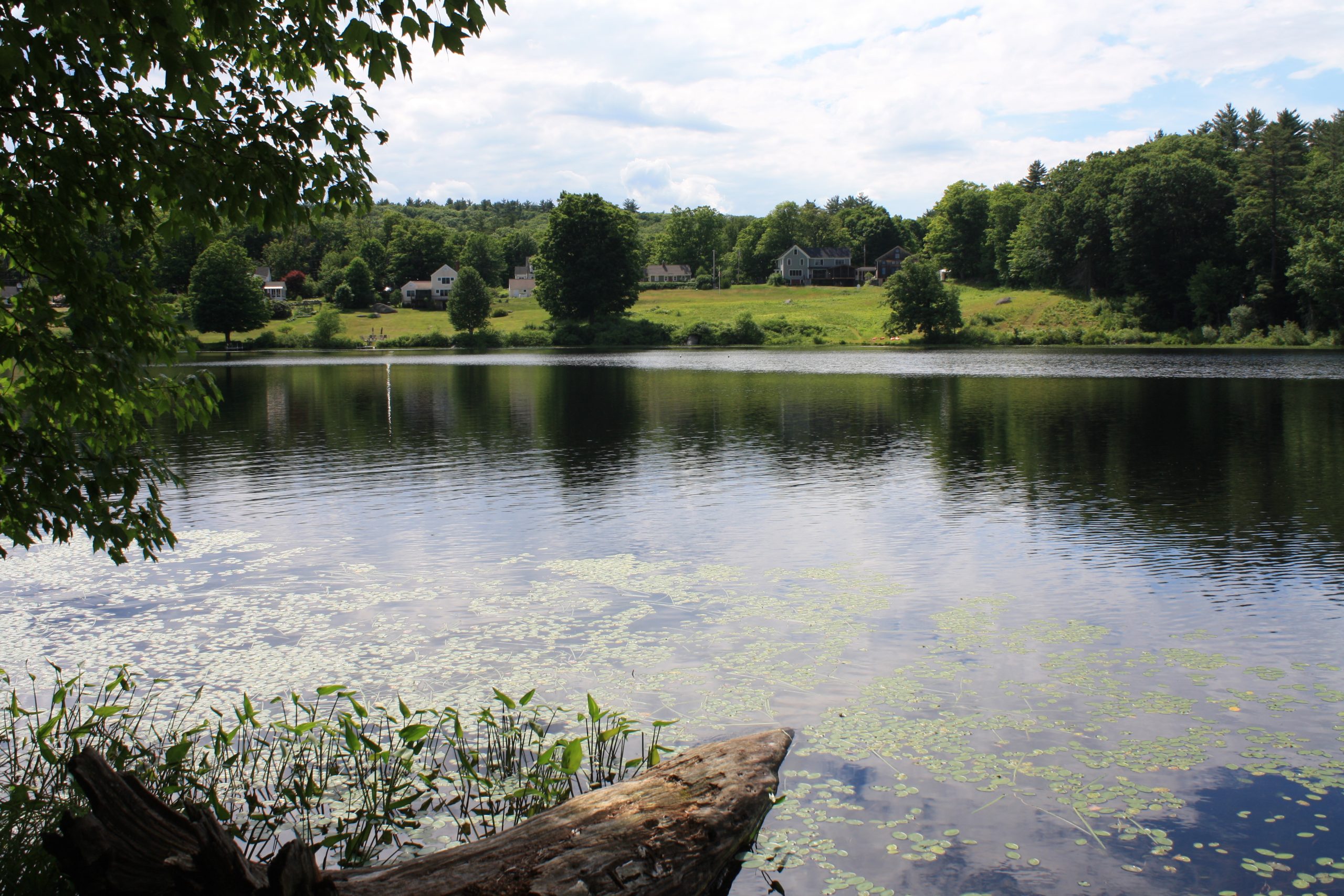 Norway Pond