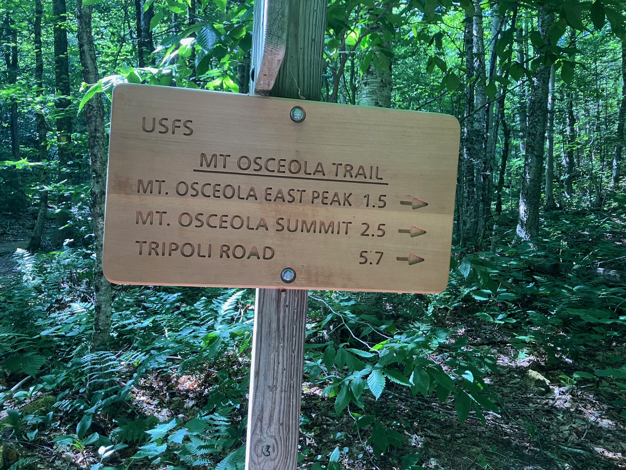 Sign for Mount Osceola trails.